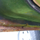 Image for article titled Here's What's Wrong With My $500 Low-Mileage Jeep Cherokee